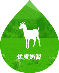 優(yōu)質(zhì)奶源